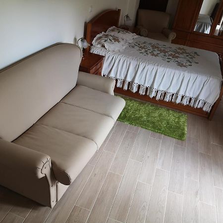 Casa Girao - Alojamento Local Термас де Сао Педро до Сул Екстериор снимка